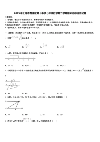 2025年上海市黄浦区第十中学七年级数学第二学期期末达标检测试题含解析