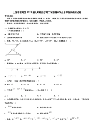 上海市普陀区2025届七年级数学第二学期期末学业水平测试模拟试题含解析