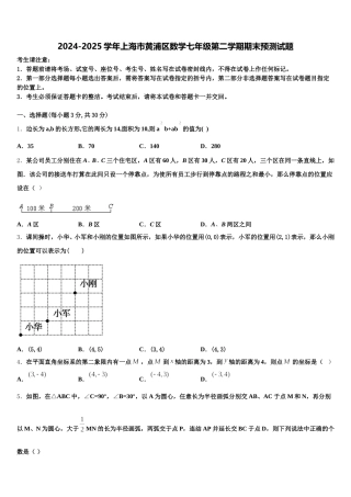 2024-2025学年上海市黄浦区数学七年级第二学期期末预测试题含解析