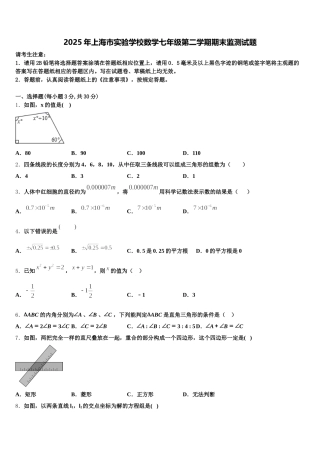 2025年上海市实验学校数学七年级第二学期期末监测试题含解析