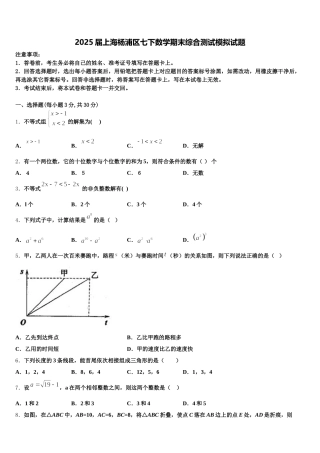 2025届上海杨浦区七下数学期末综合测试模拟试题含解析