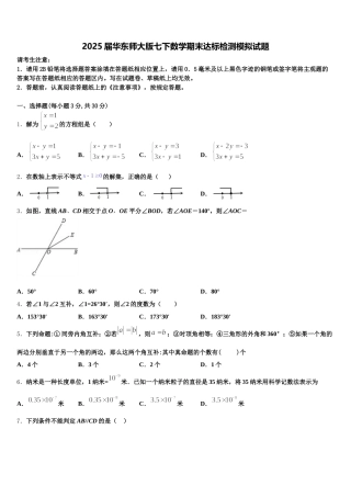 2025届华东师大版七下数学期末达标检测模拟试题含解析
