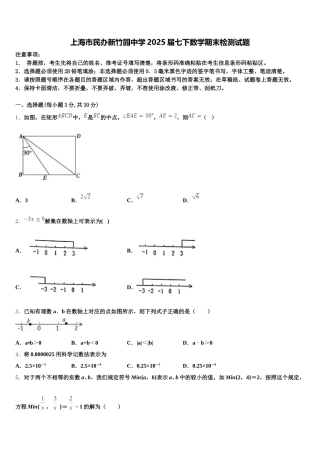 上海市民办新竹园中学2025届七下数学期末检测试题含解析
