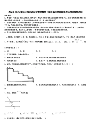 2024-2025学年上海市西延安中学数学七年级第二学期期末达标检测模拟试题含解析
