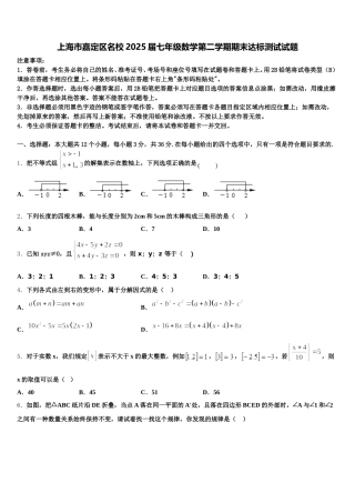 上海市嘉定区名校2025届七年级数学第二学期期末达标测试试题含解析