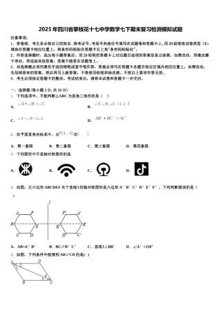 2025年四川省攀枝花十七中学数学七下期末复习检测模拟试题含解析