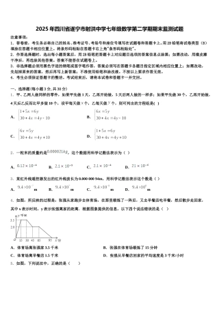 2025年四川省遂宁市射洪中学七年级数学第二学期期末监测试题含解析