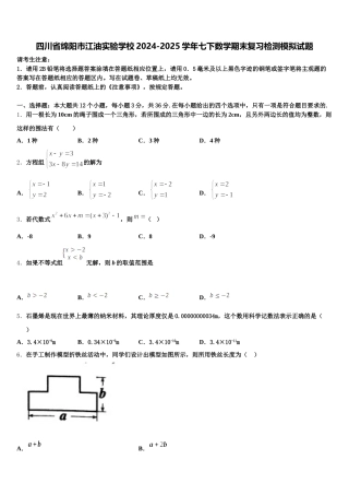 四川省绵阳市江油实验学校2024-2025学年七下数学期末复习检测模拟试题含解析