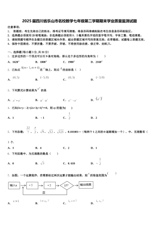 2025届四川省乐山市名校数学七年级第二学期期末学业质量监测试题含解析