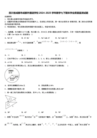 四川省成都市成都外国语学校2024-2025学年数学七下期末学业质量监测试题含解析