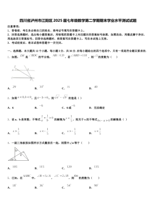 四川省泸州市江阳区2025届七年级数学第二学期期末学业水平测试试题含解析