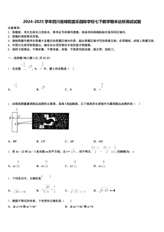 2024-2025学年四川省绵阳富乐园际学校七下数学期末达标测试试题含解析