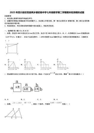 2025年四川省旺苍县两乡镇初级中学七年级数学第二学期期末检测模拟试题含解析