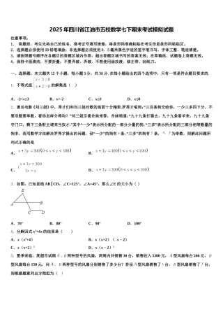 2025年四川省江油市五校数学七下期末考试模拟试题含解析