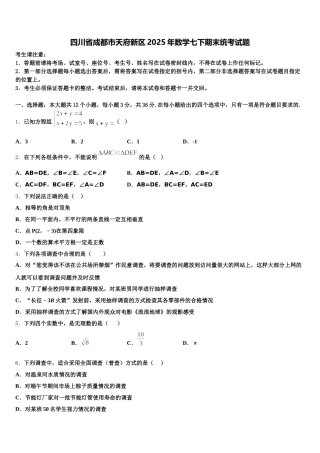 四川省成都市天府新区2025年数学七下期末统考试题含解析