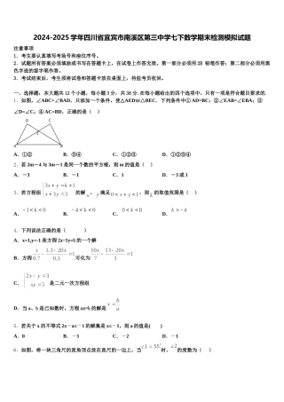 2024-2025学年四川省宜宾市南溪区第三中学七下数学期末检测模拟试题含解析
