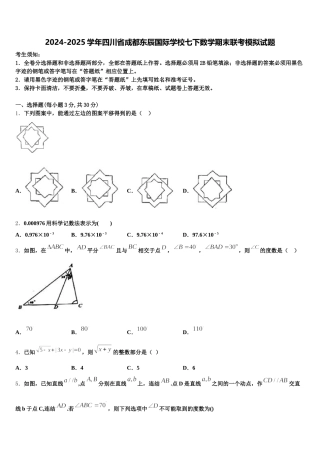 2024-2025学年四川省成都东辰国际学校七下数学期末联考模拟试题含解析