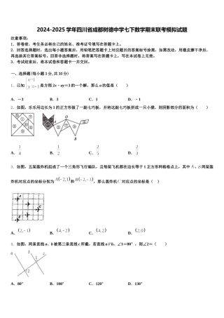 2024-2025学年四川省成都树德中学七下数学期末联考模拟试题含解析