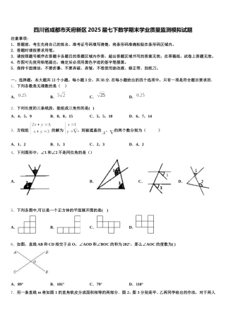 四川省成都市天府新区2025届七下数学期末学业质量监测模拟试题含解析