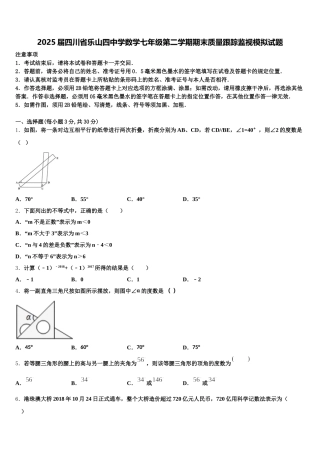 2025届四川省乐山四中学数学七年级第二学期期末质量跟踪监视模拟试题含解析