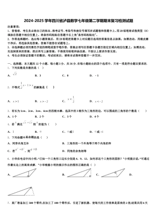2024-2025学年四川省泸县数学七年级第二学期期末复习检测试题含解析