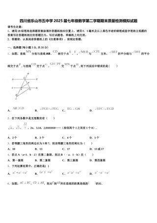 四川省乐山市五中学2025届七年级数学第二学期期末质量检测模拟试题含解析