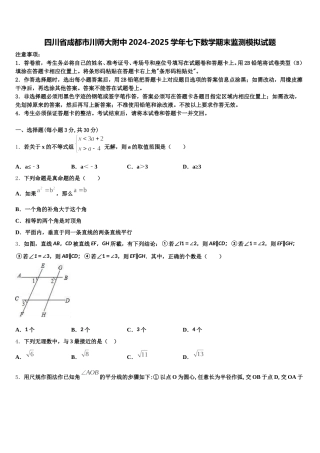 四川省成都市川师大附中2024-2025学年七下数学期末监测模拟试题含解析