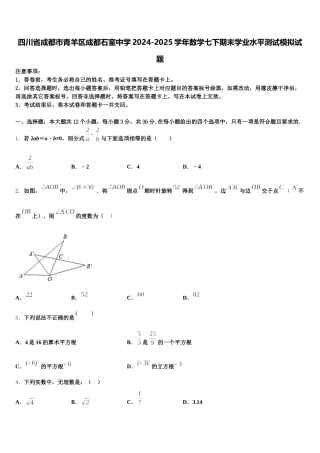 四川省成都市青羊区成都石室中学2024-2025学年数学七下期末学业水平测试模拟试题含解析