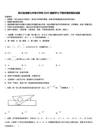 四川省成都七中育才学校2025届数学七下期末调研模拟试题含解析
