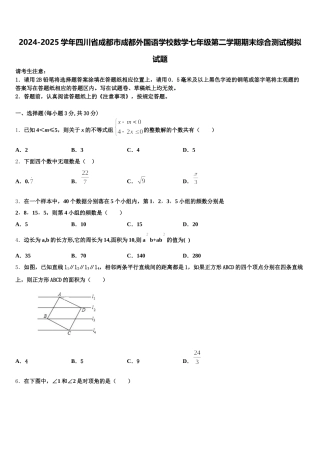 2024-2025学年四川省成都市成都外国语学校数学七年级第二学期期末综合测试模拟试题含解析