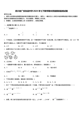 四川省广安友谊中学2025年七下数学期末质量跟踪监视试题含解析