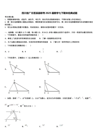 四川省广元苍溪县联考2025届数学七下期末经典试题含解析
