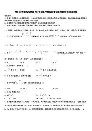 四川省资阳市乐至县2025届七下数学期末学业质量监测模拟试题含解析