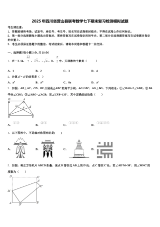 2025年四川省营山县联考数学七下期末复习检测模拟试题含解析