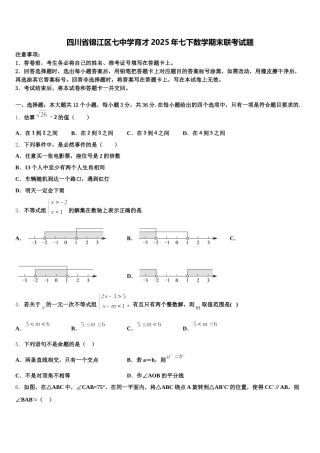 四川省锦江区七中学育才2025年七下数学期末联考试题含解析