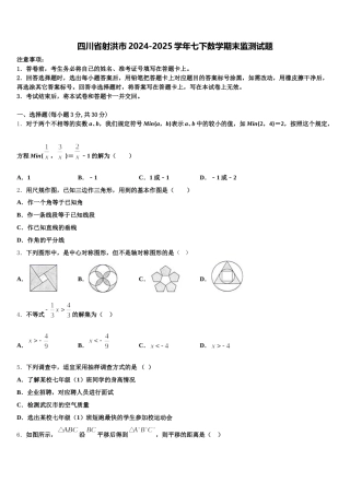 四川省射洪市2024-2025学年七下数学期末监测试题含解析