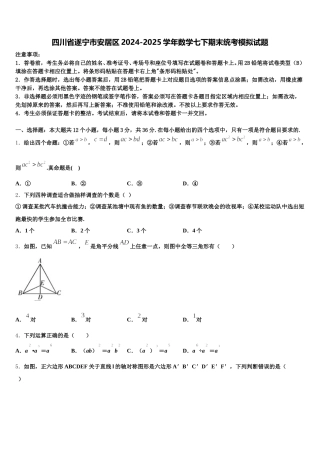 四川省遂宁市安居区2024-2025学年数学七下期末统考模拟试题含解析
