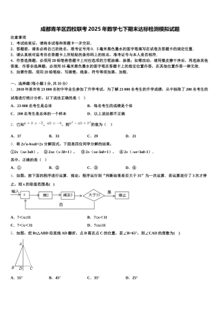 成都青羊区四校联考2025年数学七下期末达标检测模拟试题含解析