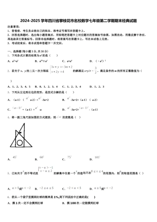 2024-2025学年四川省攀枝花市名校数学七年级第二学期期末经典试题含解析