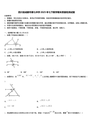 四川省成都市第七中学2025年七下数学期末质量检测试题含解析