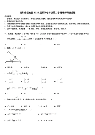 四川省岳池县2025届数学七年级第二学期期末调研试题含解析