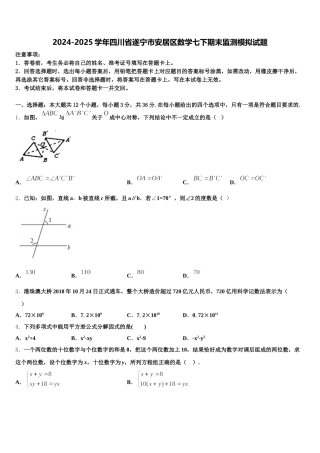 2024-2025学年四川省遂宁市安居区数学七下期末监测模拟试题含解析
