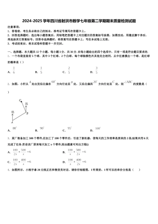 2024-2025学年四川省射洪市数学七年级第二学期期末质量检测试题含解析