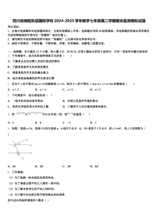 四川省绵阳东辰国际学校2024-2025学年数学七年级第二学期期末监测模拟试题含解析