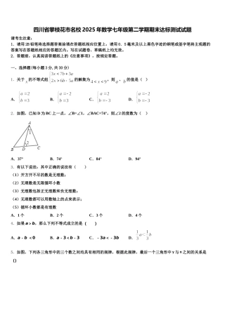 四川省攀枝花市名校2025年数学七年级第二学期期末达标测试试题含解析
