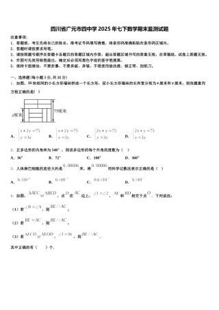 四川省广元市四中学2025年七下数学期末监测试题含解析