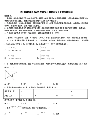 四川省长宁县2025年数学七下期末学业水平测试试题含解析