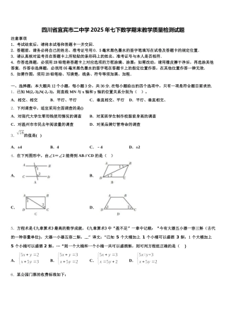 四川省宜宾市二中学2025年七下数学期末教学质量检测试题含解析