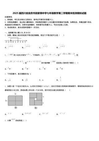 2025届四川省自贡市田家炳中学七年级数学第二学期期末检测模拟试题含解析