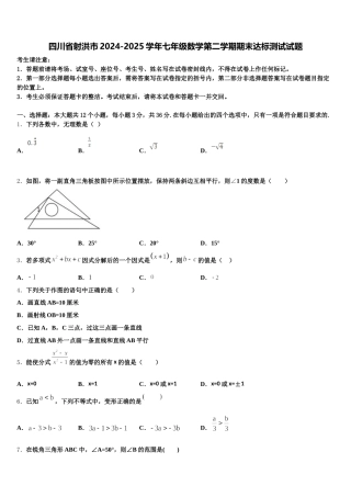 四川省射洪市2024-2025学年七年级数学第二学期期末达标测试试题含解析